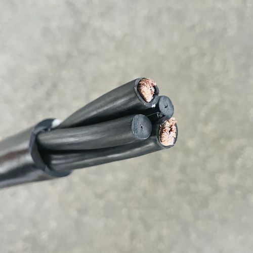 IMG_5381.jpg IMG_5381.jpg