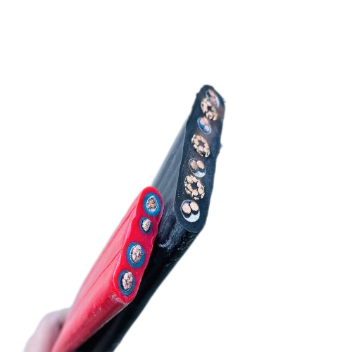 202502271540521296 202502271540521296