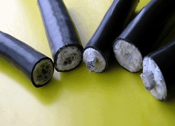 九五至尊VI老品牌值得信任 -官方网站