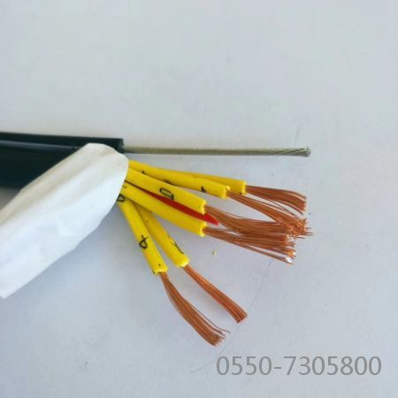 九五至尊VI老品牌值得信任 -官方网站