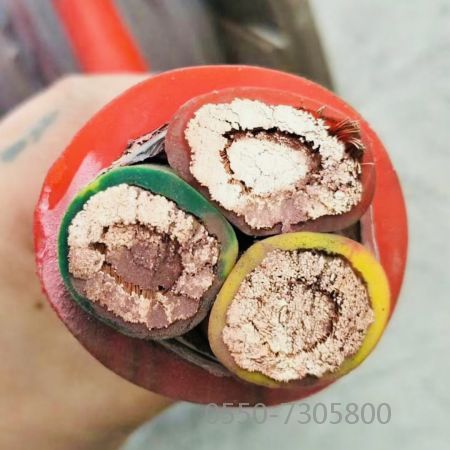 九五至尊VI老品牌值得信任 -官方网站
