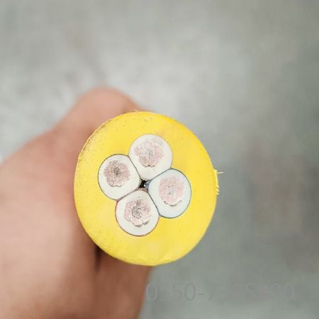 九五至尊VI老品牌值得信任 -官方网站