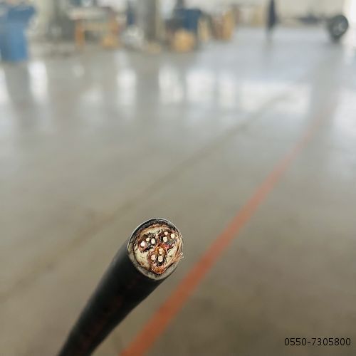 九五至尊VI老品牌值得信任 -官方网站