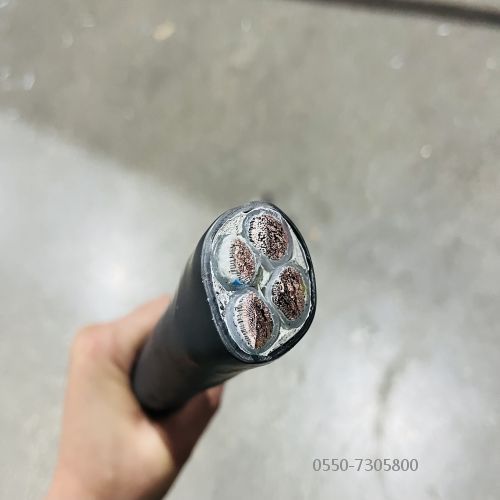 九五至尊VI老品牌值得信任 -官方网站