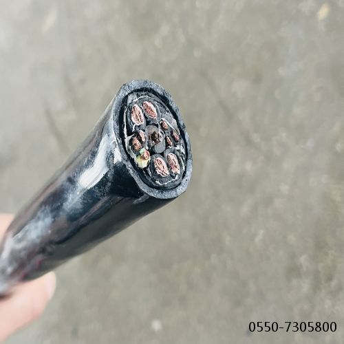 九五至尊VI老品牌值得信任 -官方网站
