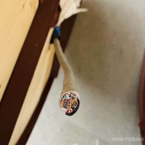 九五至尊VI老品牌值得信任 -官方网站