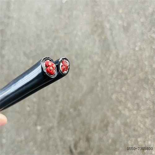 九五至尊VI老品牌值得信任 -官方网站