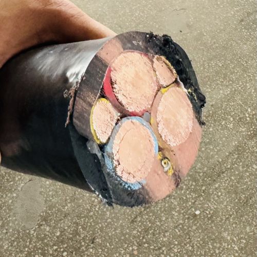 VIƷֵ -ٷվ