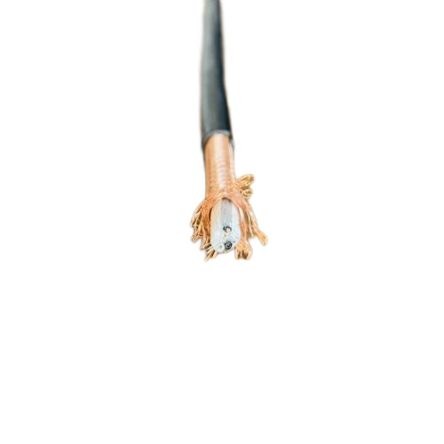 VIƷֵ -ٷվ