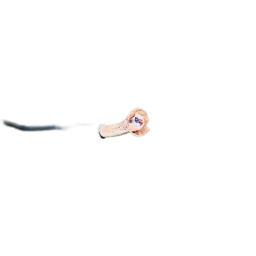VIƷֵ -ٷվ